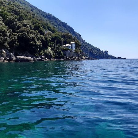 Villa Albachiara Camogli Zewnętrze zdjęcie