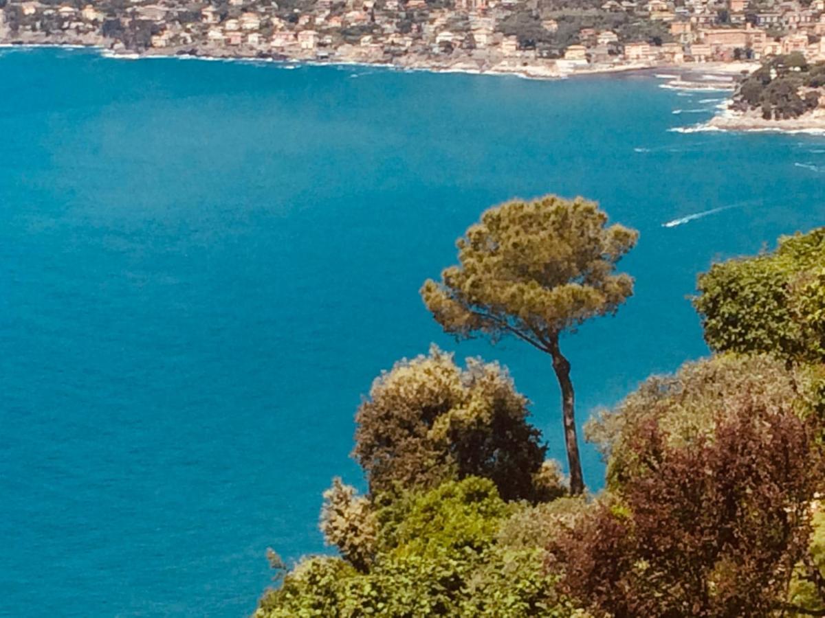 Villa Albachiara Camogli Zewnętrze zdjęcie