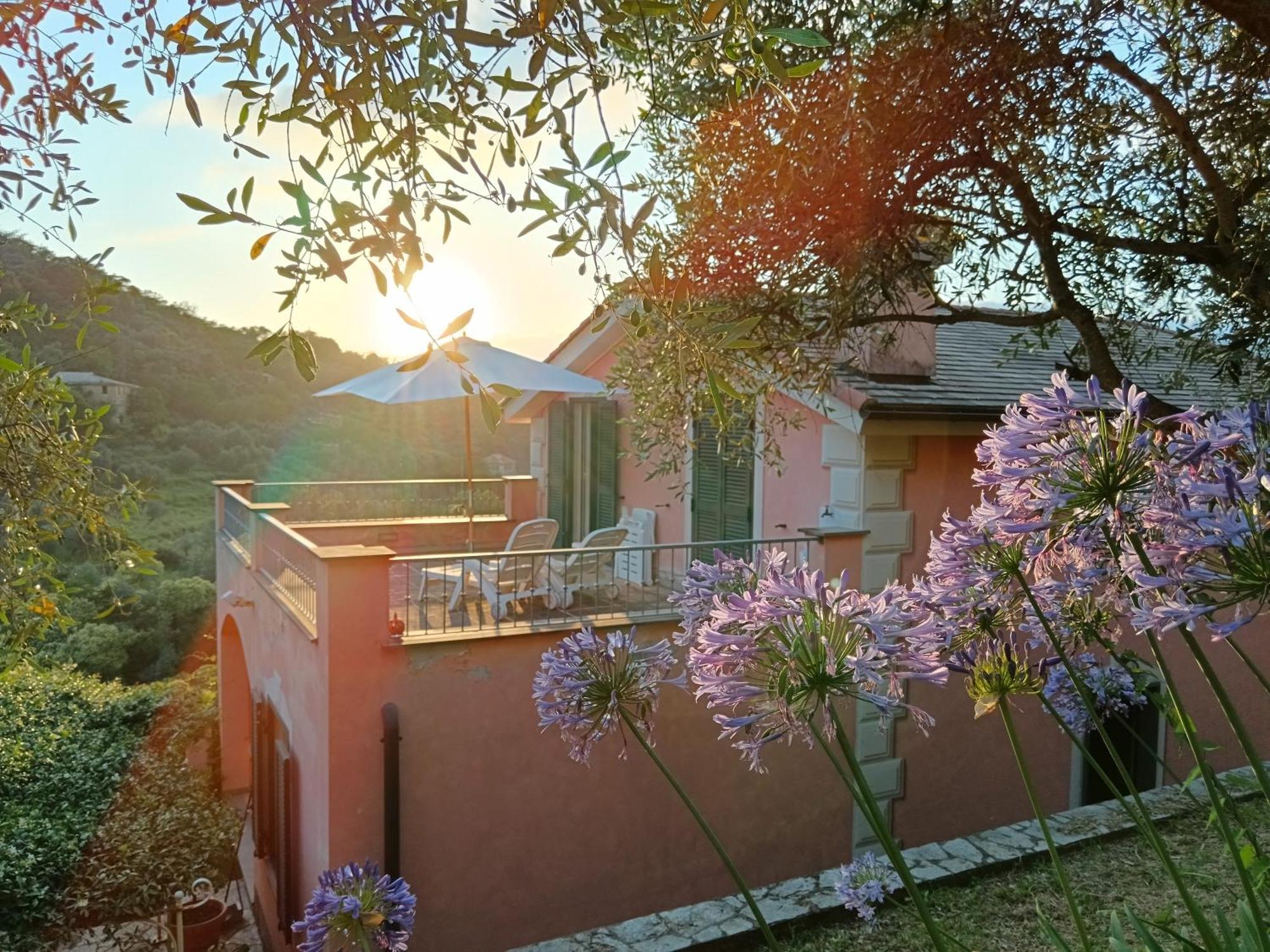 Villa Albachiara Camogli Zewnętrze zdjęcie