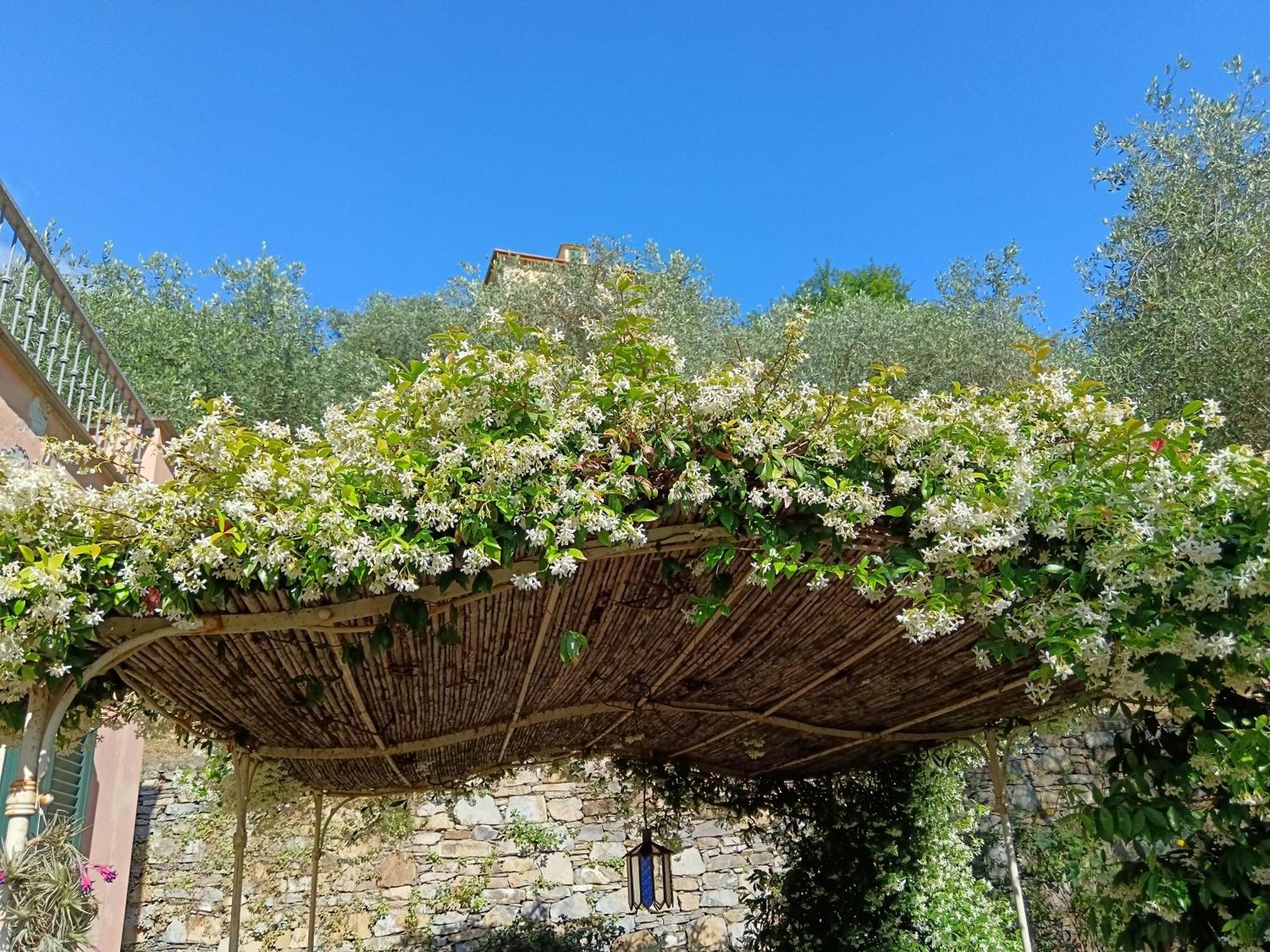 Villa Albachiara Camogli Zewnętrze zdjęcie