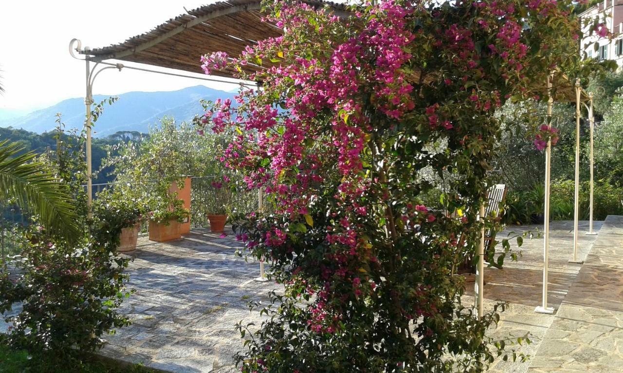 Villa Albachiara Camogli Zewnętrze zdjęcie